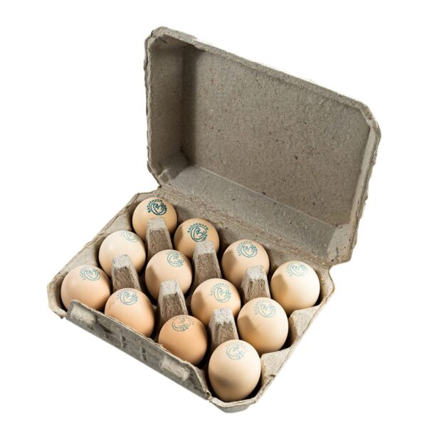 Kadaknath Black-Chicken Free Range Organic Eggs